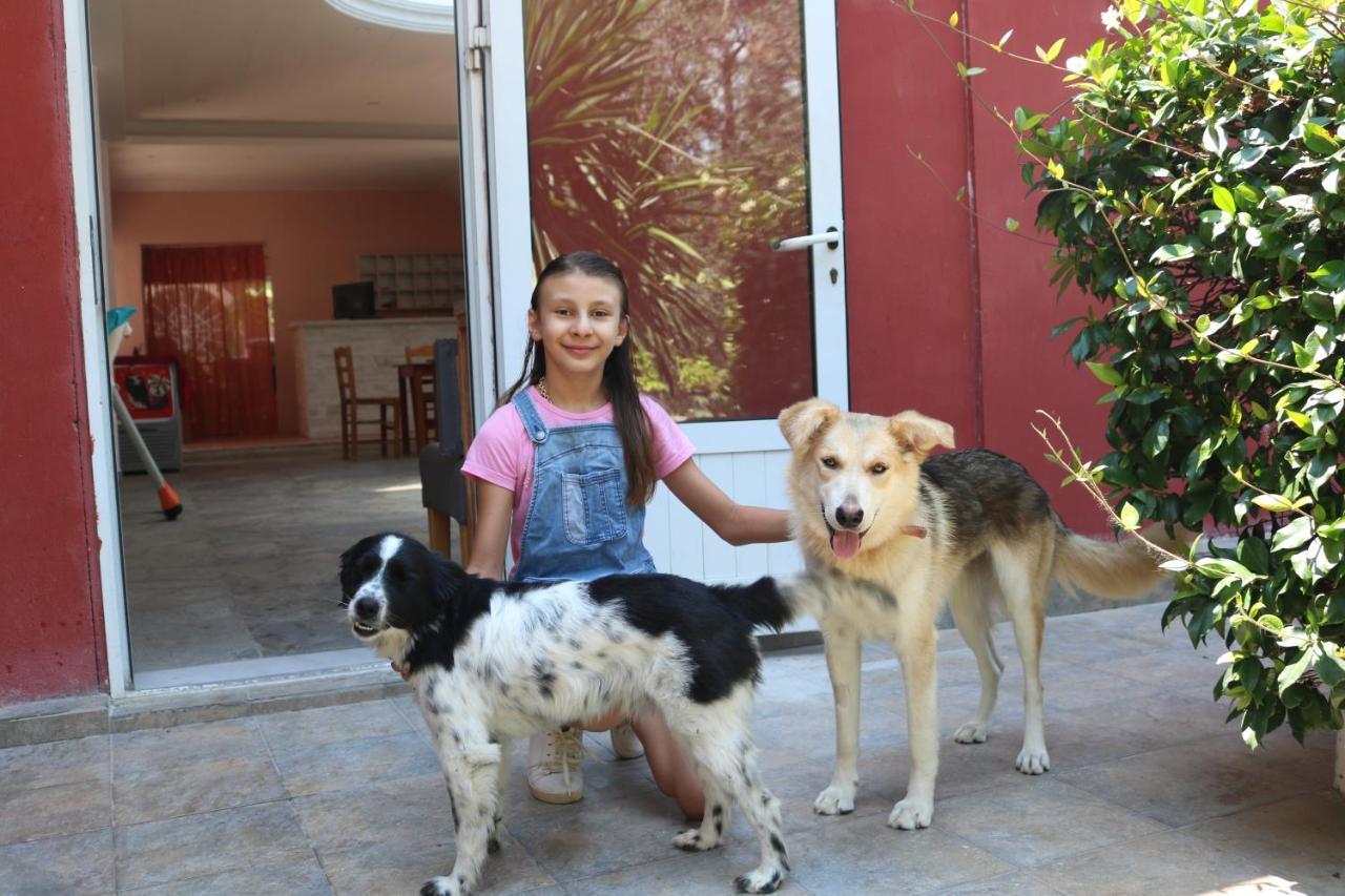 Madalenas B&B Pelekas Exteriör bild